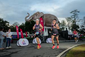 BIB: 
                            <button type="button" onclick="openModal(26529442)" class="btn btn-primary btn-sm float-right btn-popup" data-toggle="modal" data-target=".modal-high-quality">
                        <i class="fas fa-shopping-cart"></i> Add to Cart
                    </button>
                                            <button type="button" onclick="isThisMe(26529442, true)" class="btn btn-success btn-sm float-right btn-popup btn-isme hidden" data-toggle="tooltip" data-placement="bottom" title="นี่คือรูปของคุณใช่ไหม คลิกที่นี่เพื่อเอาเข้าอัลบั้ม">
                        <i class="fas fa-plus"></i> Add to album
                    </button>
                    <button type="button" onclick="isThisMe(26529442, false)" class="btn btn-warning btn-sm float-right btn-popup btn-isnotme hidden">
                        <i class="fas fa-ban"></i> Remove from album
                    </button>